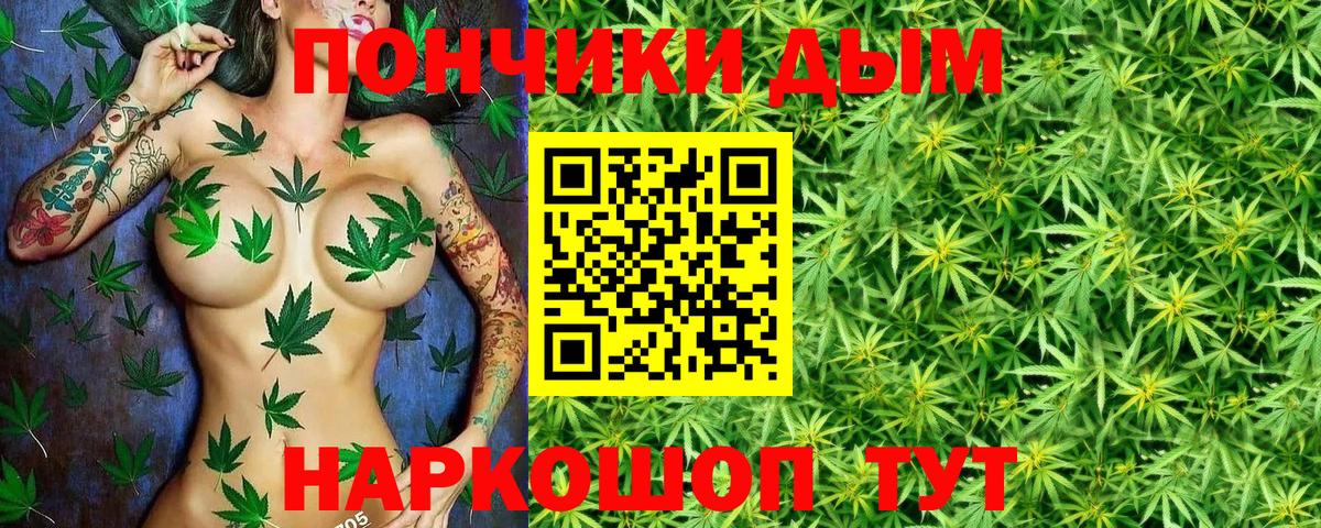 Конопля SATIVA & INDICA Вышний Волочёк
